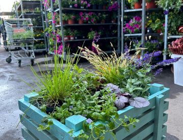 Посадка растений в контейнерах – очень удобный способ создания цветочных композиций!